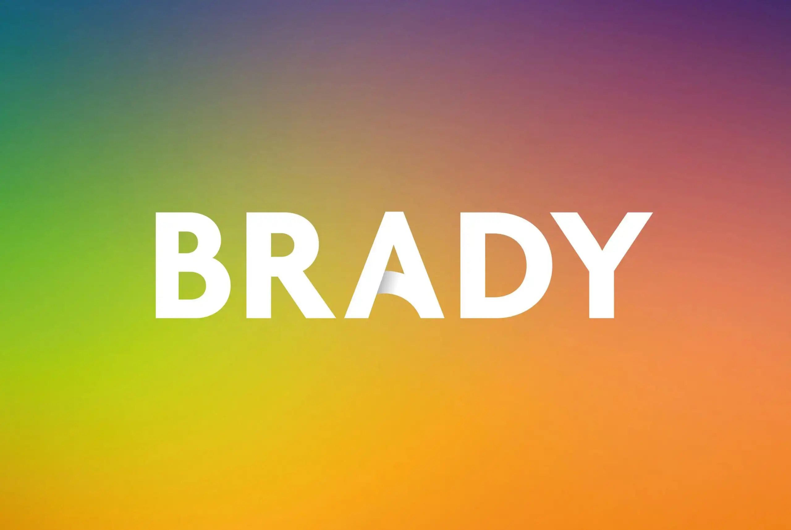 Brady brand identity Brady brand identity