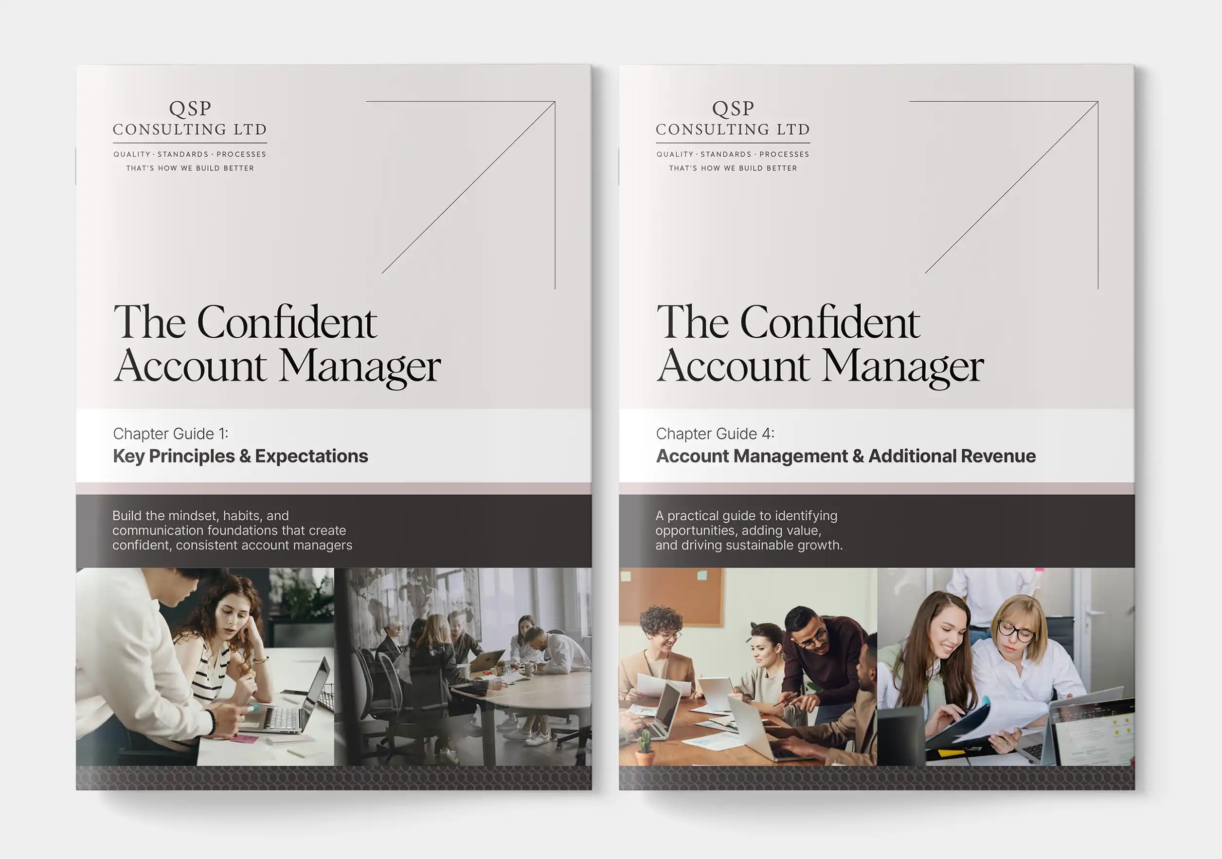 QSP Consulting Playbook Design