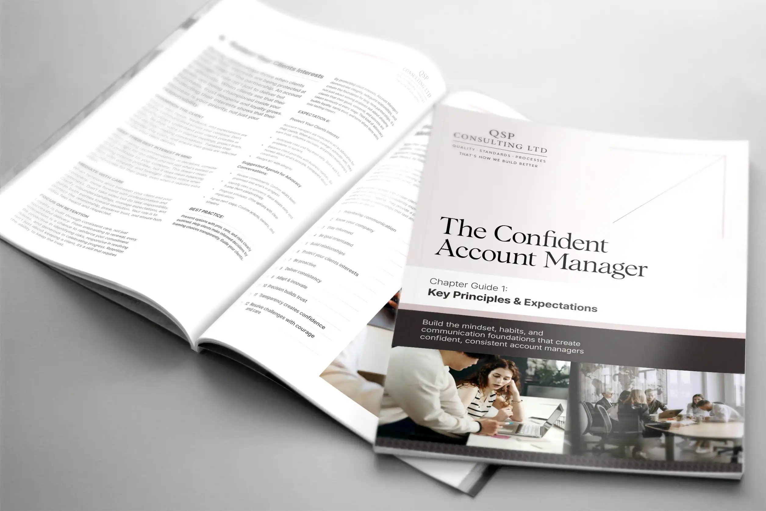 QSP Consulting Playbook Sample Spread Design