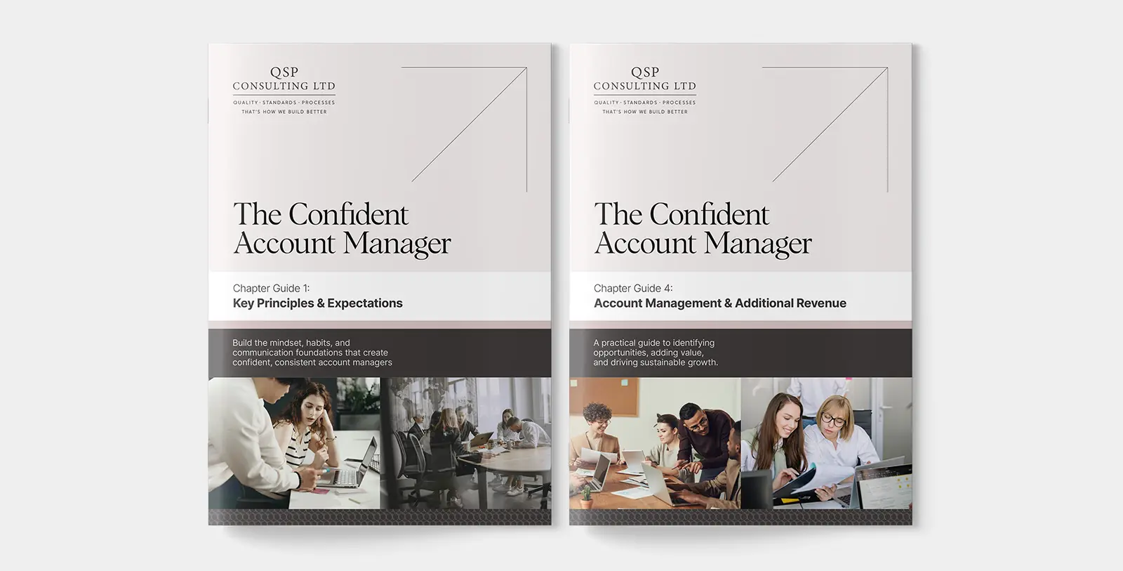 QSP Consulting featured image